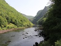 IMG 0605