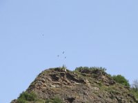 IMG 0627