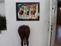 IMG 0644