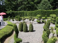 IMG 0652