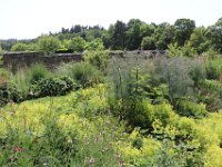 IMG 0653