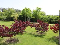 IMG 0657