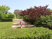 IMG 0658