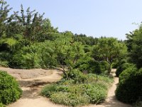 IMG 0659