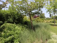 IMG 0661
