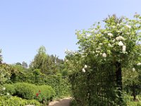 IMG 0663