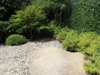 IMG 0667
