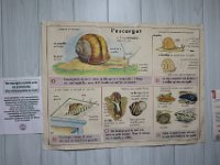 IMG 0701